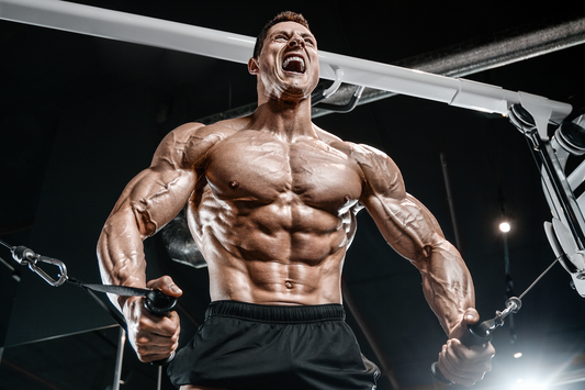 Get More Gains with Creatine - Your Ultimate Guide to Adding It To Your Diet